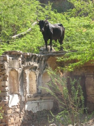 2419_66190887391_1980281_n